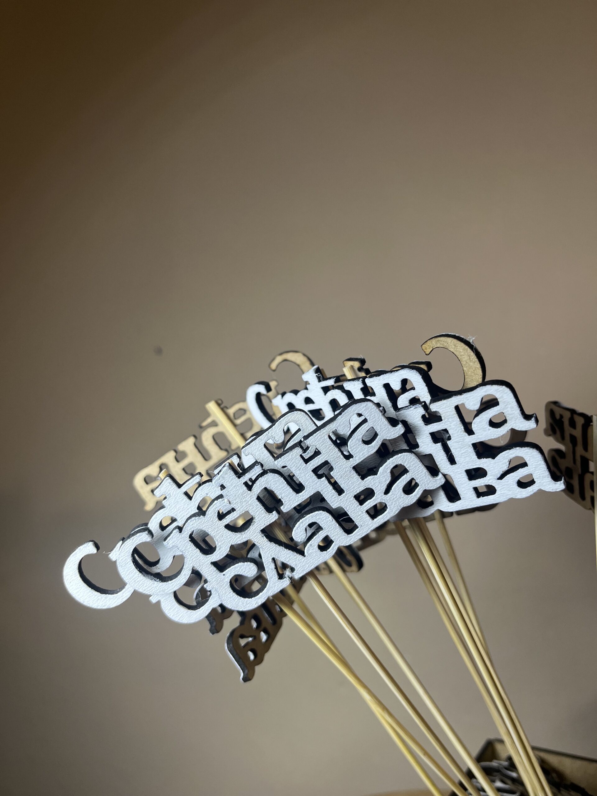 IMG-6030-scaled Toper "Srećna slava"