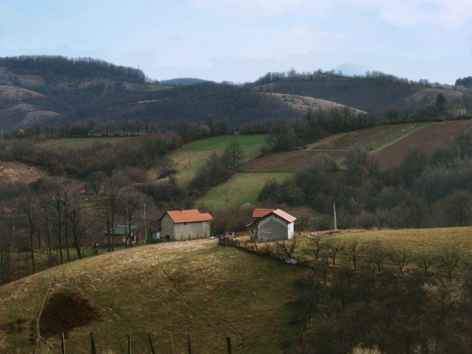 1772444208578 Edited